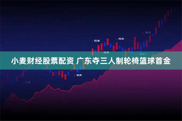 小麦财经股票配资 广东夺三人制轮椅篮球首金