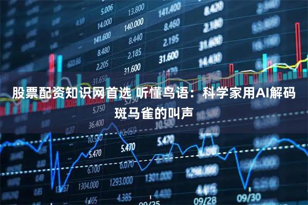 股票配资知识网首选 听懂鸟语：科学家用AI解码斑马雀的叫声