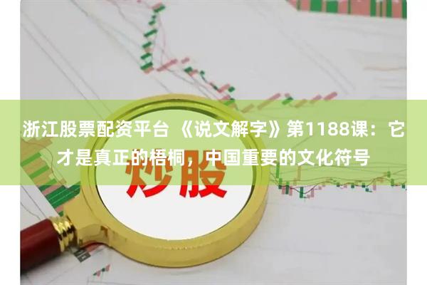 浙江股票配资平台 《说文解字》第1188课：它才是真正的梧桐，中国重要的文化符号